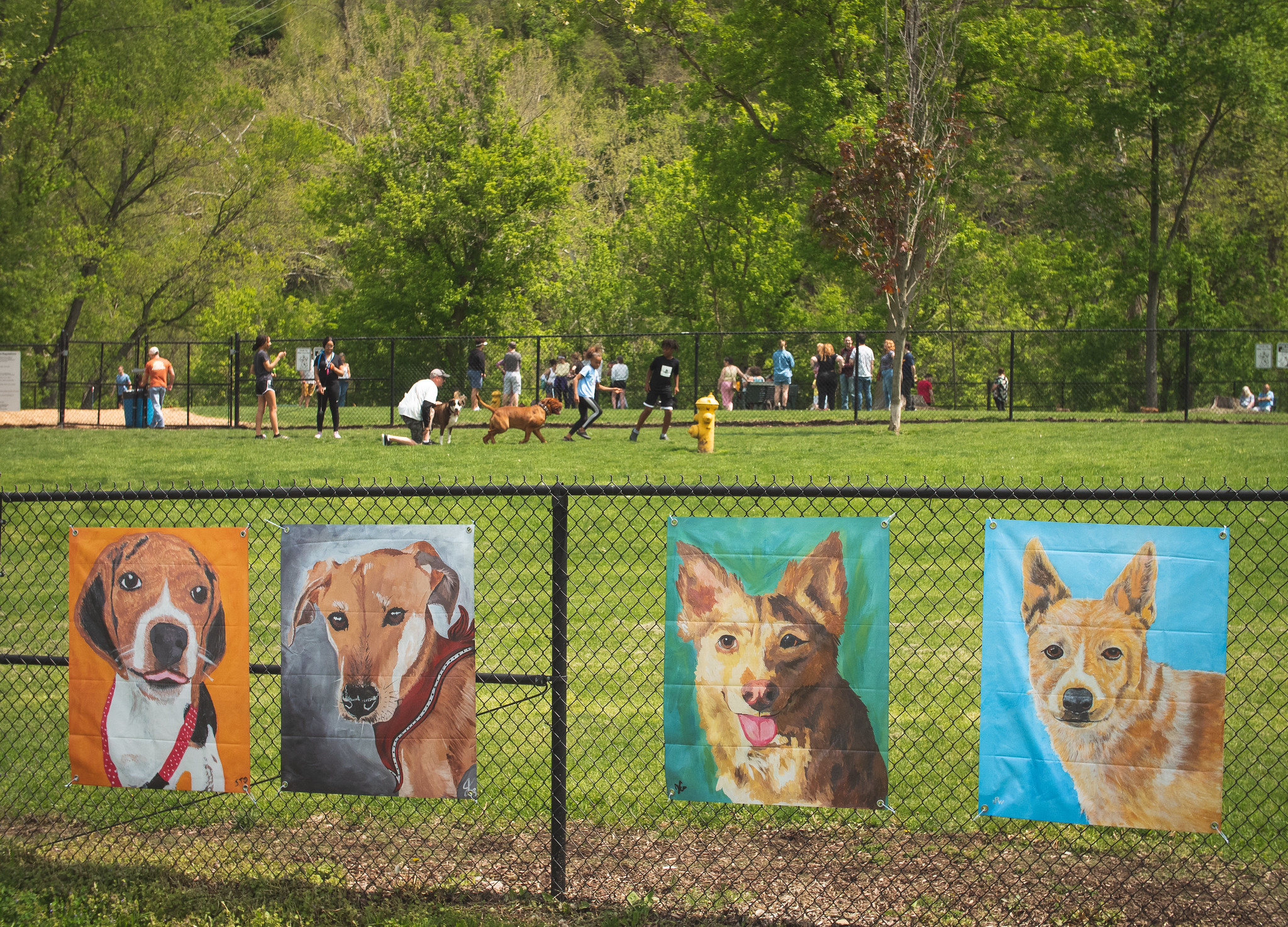 Fitzsimmons Dog Park Murals-2