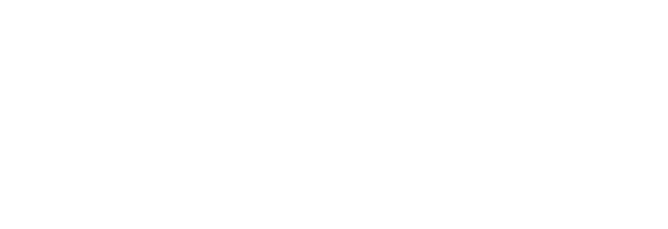 City of Wheeling - Horizontal - White City of Wheeling - Horizontal - White