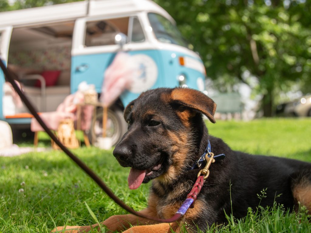 FidoFest