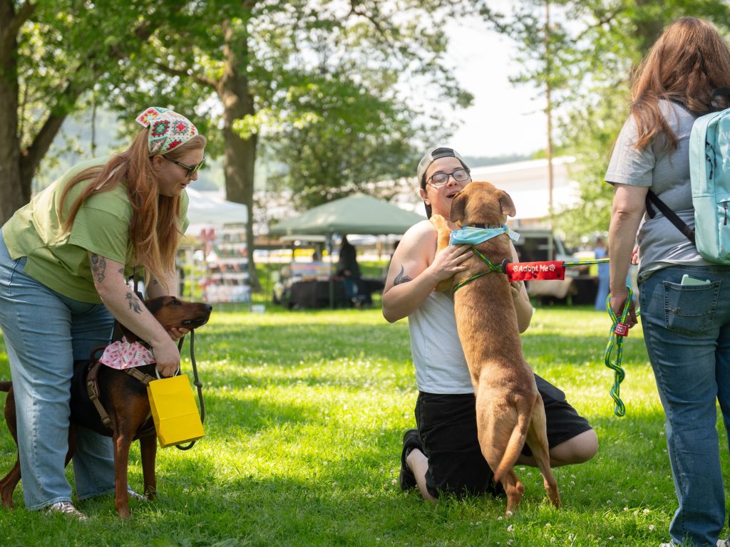 FidoFest