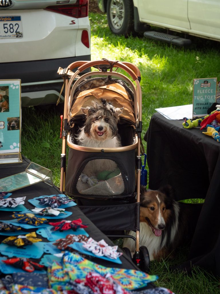 FidoFest
