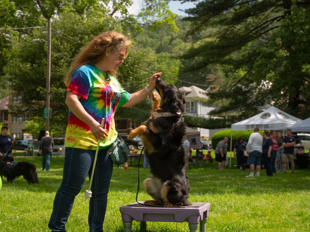 FidoFest
