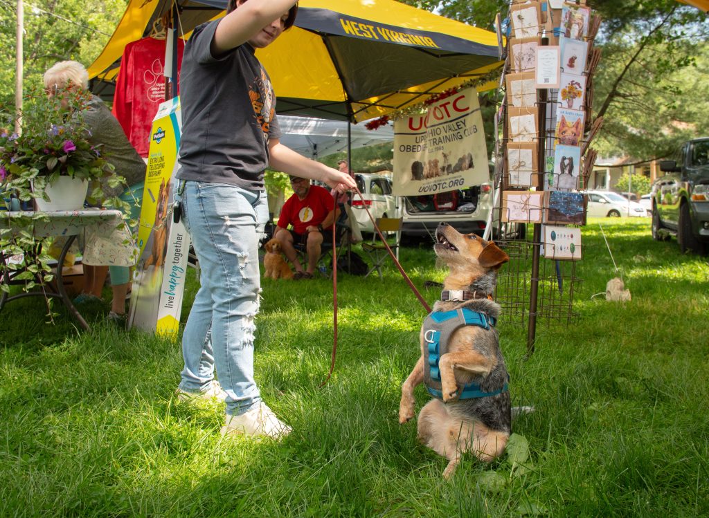 FidoFest