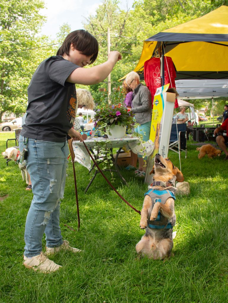 FidoFest