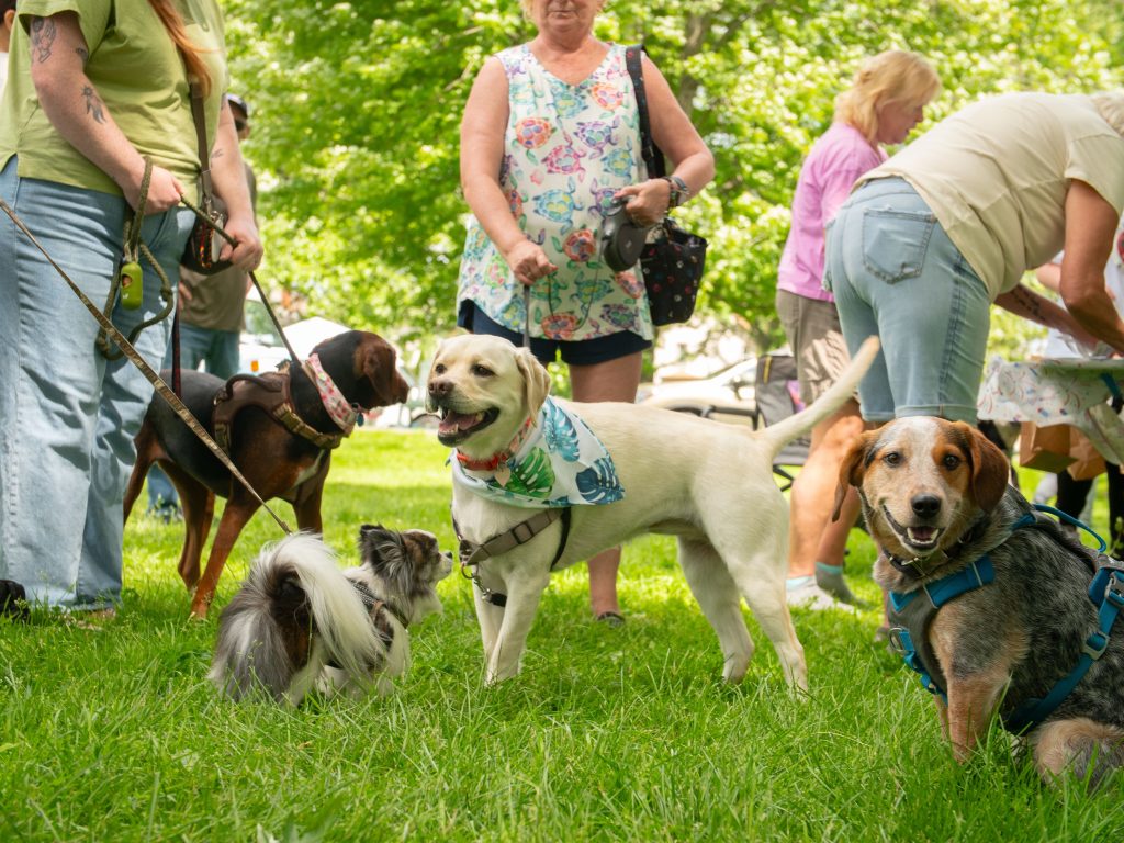 FidoFest