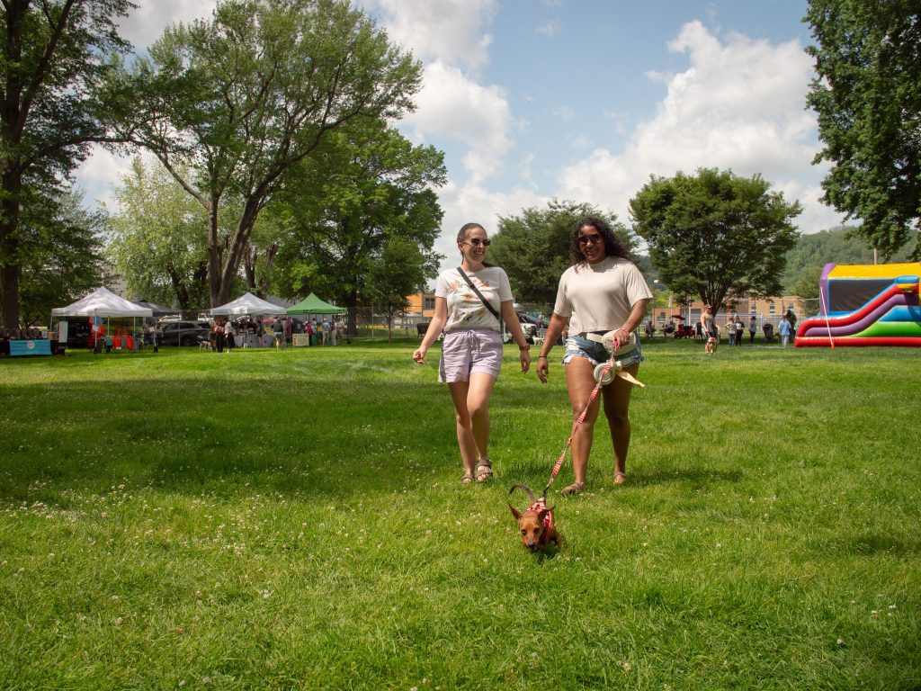 FidoFest
