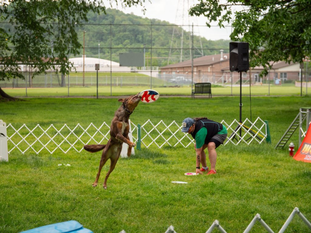 FidoFest