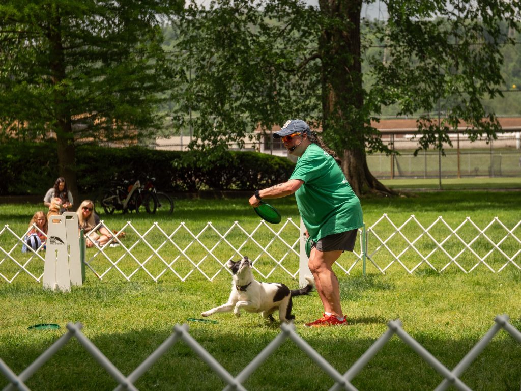 FidoFest