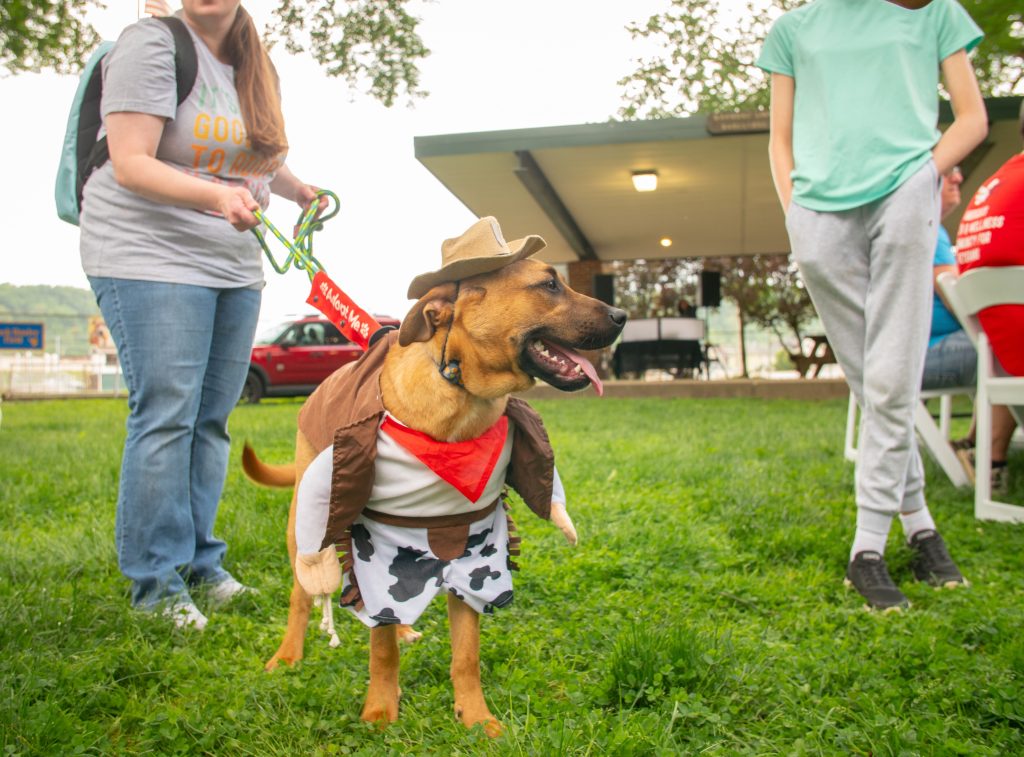 FidoFest
