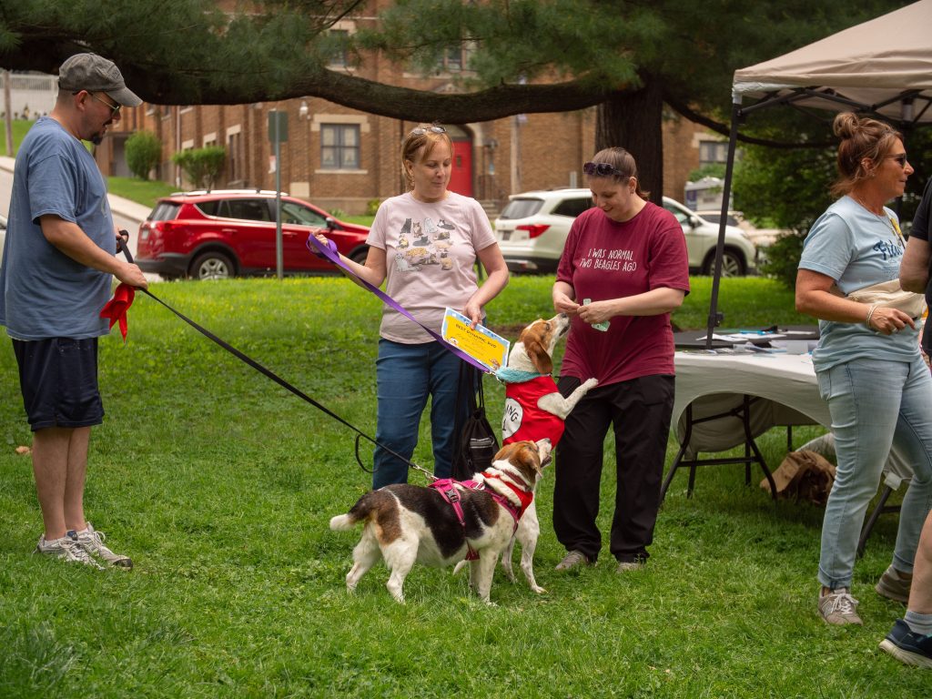 FidoFest