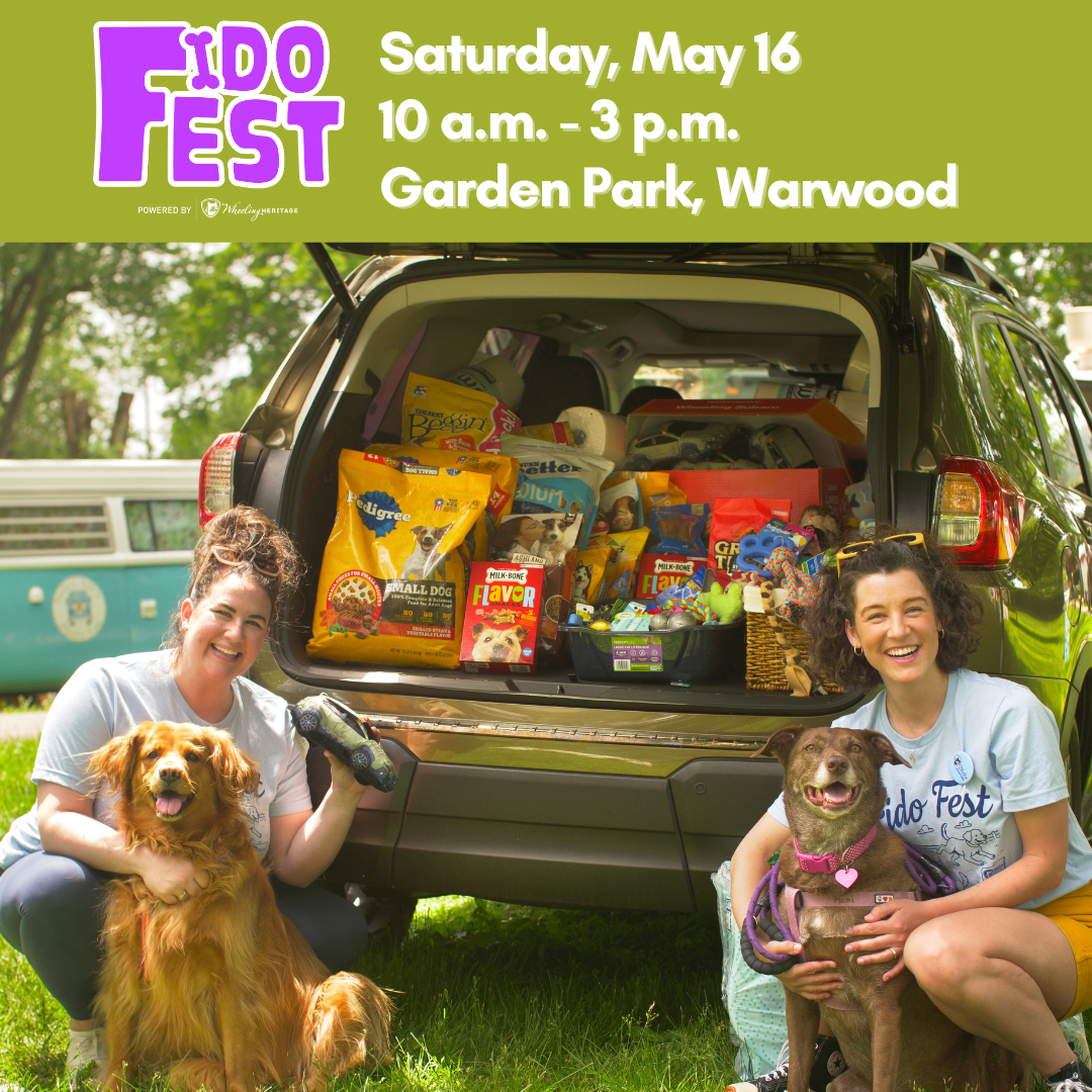 FidoFest Returns on May 16 with Full Day of Dog-Friendly Fun